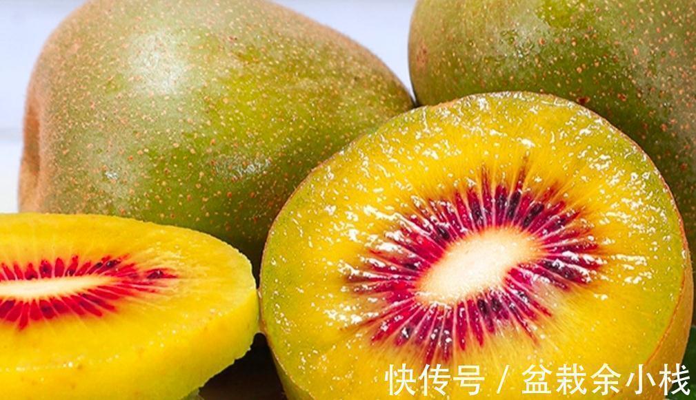 维生素c|秋天女性多吃这8种食物,维C丰富营养高,应季新鲜,价格便宜