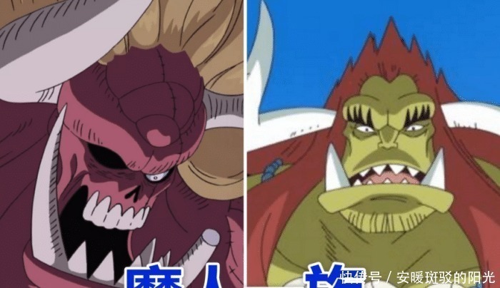 一族|海贼王最强的4大血脉传承，路飞一家没有弱者，它却只剩独苗