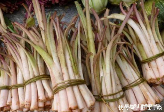 食物|女性坚持吃的食物,延缓衰老,改善肤质,越吃越年轻