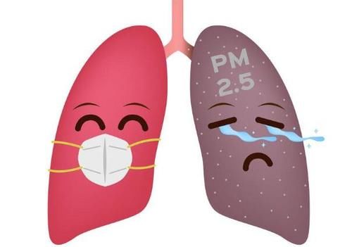 如何判断肺是否健康呢？这4个标准若你都符合，说明肺还很健康！
