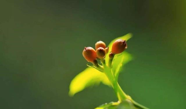 巴结者&人情冷暖,在身份变化中一目了然!