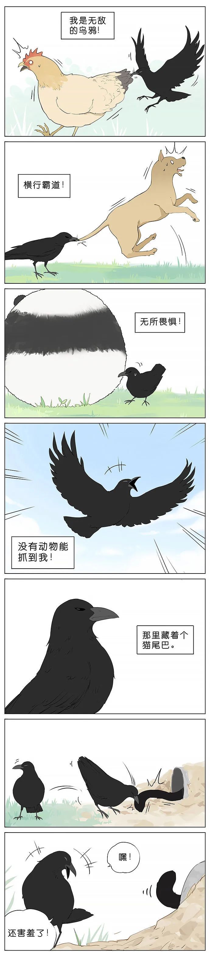 对手|超治愈漫画：怼天怼地的小乌鸦，这天总算是遇到对手了！