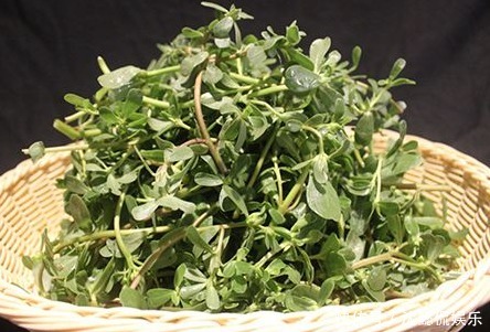 秋后|秋后的“金不换”,补铁是菠菜的2倍,炒一炒就上桌,吃着香