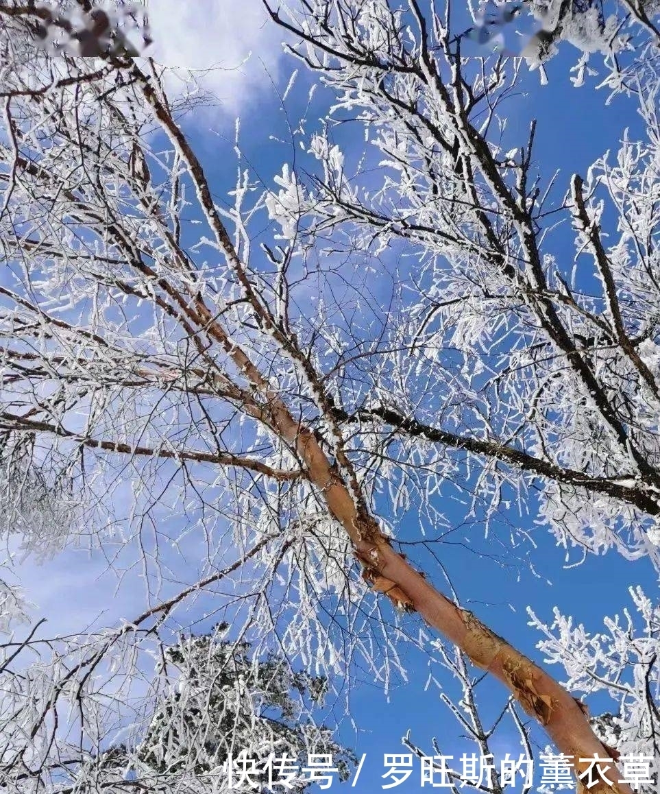 推荐丨来汉中这座慢节奏小城，邂逅一场浪漫的“风花雪月”~