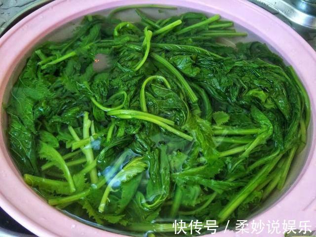 面团|用它来包饺子,一大捆才2块钱,纯天然健康养生,祛湿暖胃