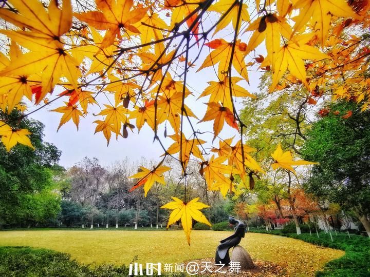 摄友|你在北方的冬天里看雪景，我在南方的冬天里看秋景