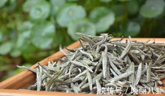 乌龙茶@茶叶保存多久？“一年茶，三年药，七年宝”啥意思？看完茅塞顿开