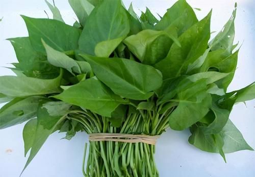 多酚|女性不想變老，常吃養(yǎng)生食物，刮油清脂，疏通血管，肌膚更細(xì)膩