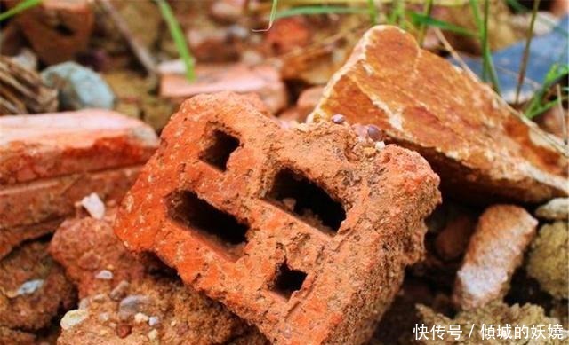 工地边的“3种石料”没人要,却不知,都是栽花好料,养啥花都旺