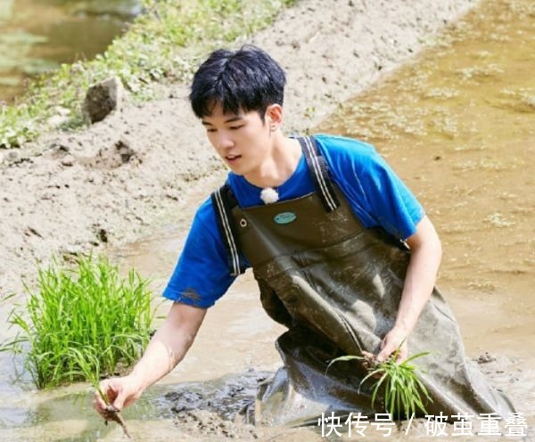 仝卓|仝卓“意外”出现《向往4》现场人都慌神了,还好后期机智救场