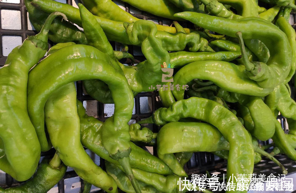 螺丝椒|买青椒时,直的辣还是弯的辣老菜农辣不辣看“这里”准没错