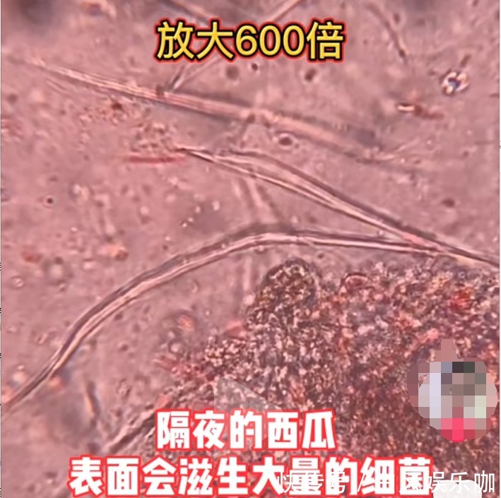 孩子|夏天养娃,家长远离这几个禁区,孩子才会少生病才能“长高个”