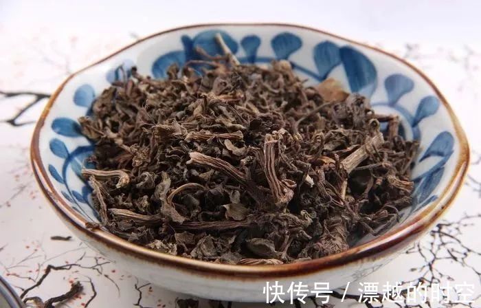 止血|马齿苋,又称五行草、长寿菜!清热解毒、止血,农村最容易找到!