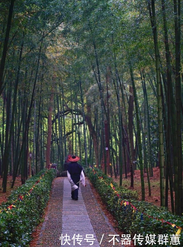 江南第一名山，山清水秀，被誉为富春小九寨