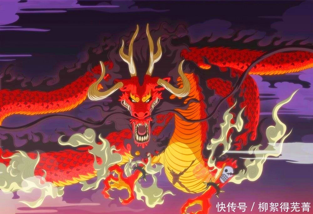 大妈|海贼王大妈和凯多用实际行动告诉你，穷养儿子，富养女儿！