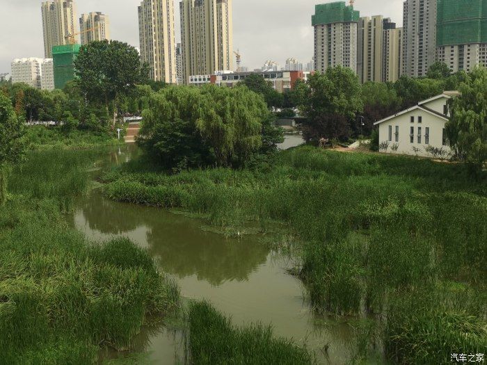 小伊|夏日消暑香河公园，与小伊一起记录美好瞬间（申精）