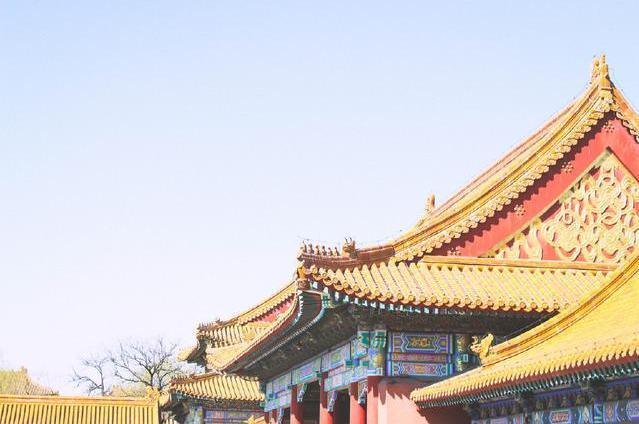 600多年来故宫的屋顶为何如此干净?专家道出玄机,令人叹服!