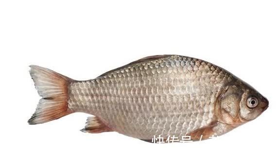 大脑|宝宝出生后,大脑唯一一次发育高峰期,别错过,助宝宝大脑更聪明