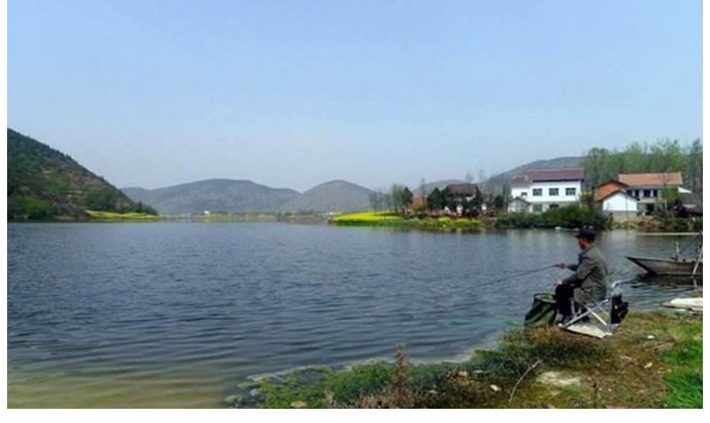 春钓鲫鱼如同“赶场”,记住3个变化规律,什么水面都能爆护!