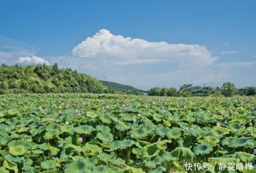 盘点中国游客去了还会再去的6座城市，评价颇高，你最喜欢哪一座