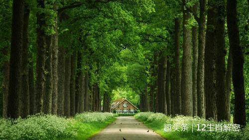 好运|未来5天，横财如云，钞票如雨，咸鱼翻身变富翁，将交好运3生肖