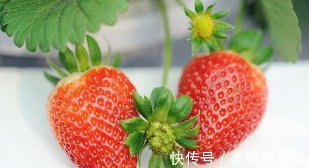 维生素爱美的人都爱吃3物，促进食物消化，改善便秘，气色红润更年轻