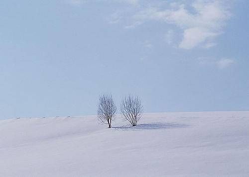  细雪|草堂读诗｜朗诵：王子瓜《细雪》《音信全无》