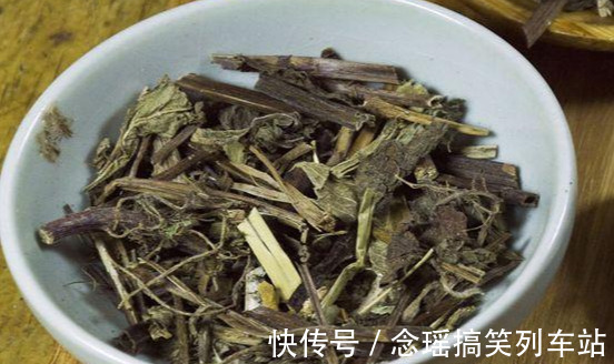 薄荷不仅可以食用观叶,这种薄荷清热解毒,还能一团团的开花
