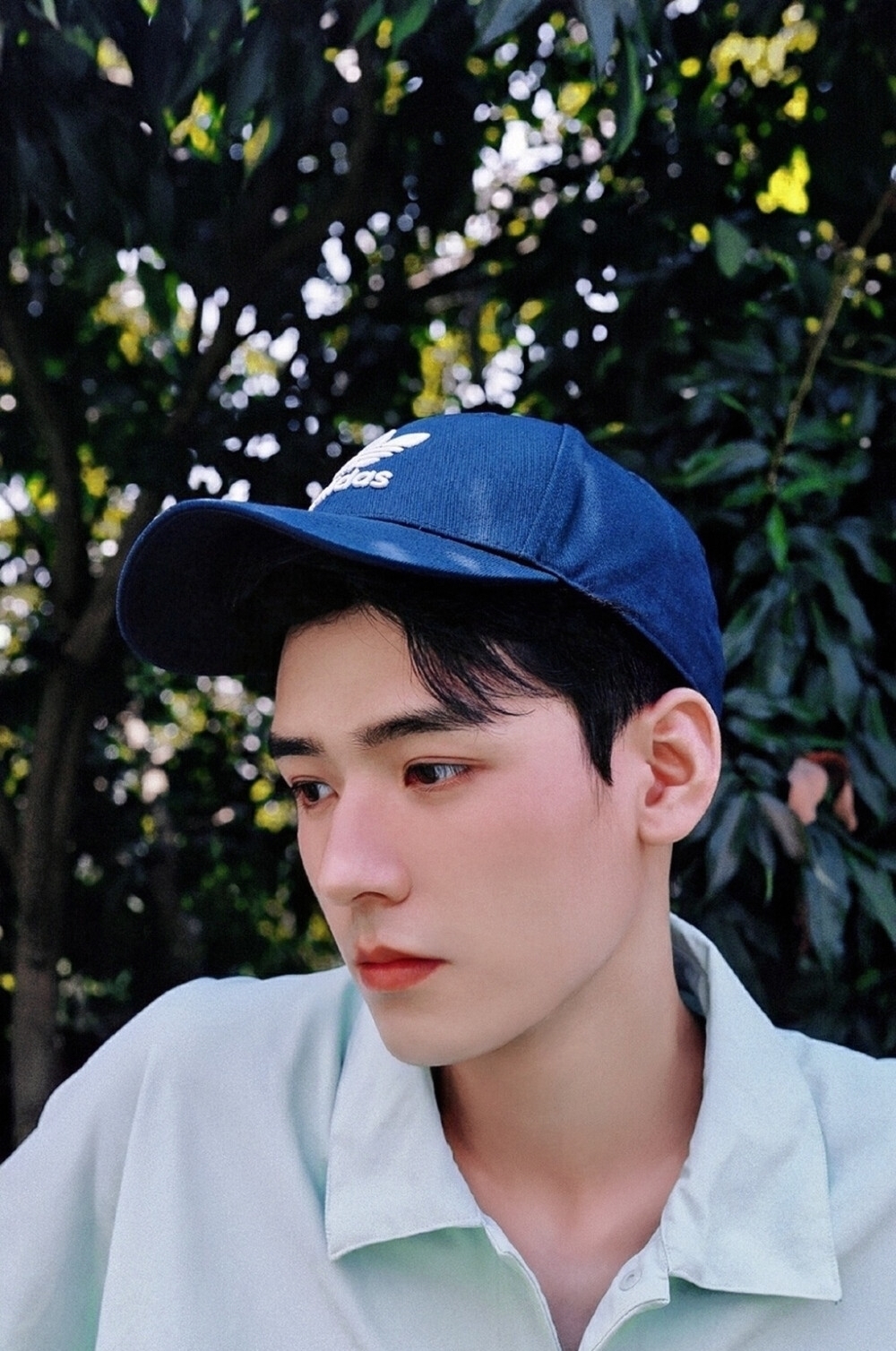 喝茶|姚安娜在《中餐厅》“拈轻怕重”,其他成员喝茶,龚俊已忙活不停