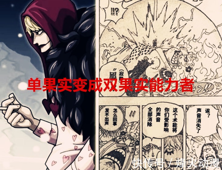 四皇大妈|海贼王1040话:罗觉醒后,单果实变双果实,悬赏50亿果然名不虚传