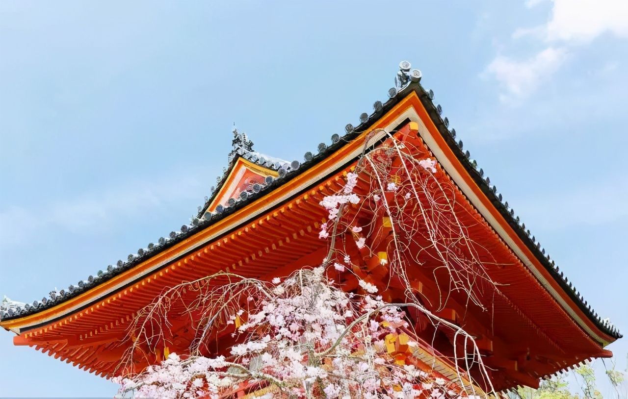 朝圣之路|日本民宿的另类玩法：寺院里的宿坊