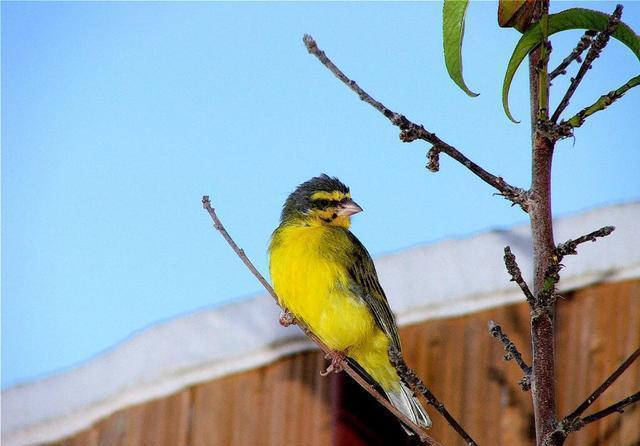 车迟国&西游记的终极秘密:看完取经路上几个国家,才发现西天的严重问题