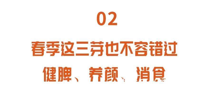 豆芽|老中医春季常吃“长寿芽”，比花生营养，比黄豆芽更爽脆