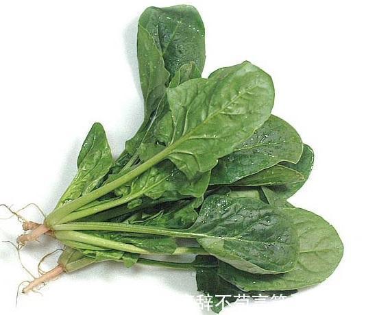 食谱|宝宝吃什么长高个4种营养素为宝宝身高加分!10道食谱助力长高