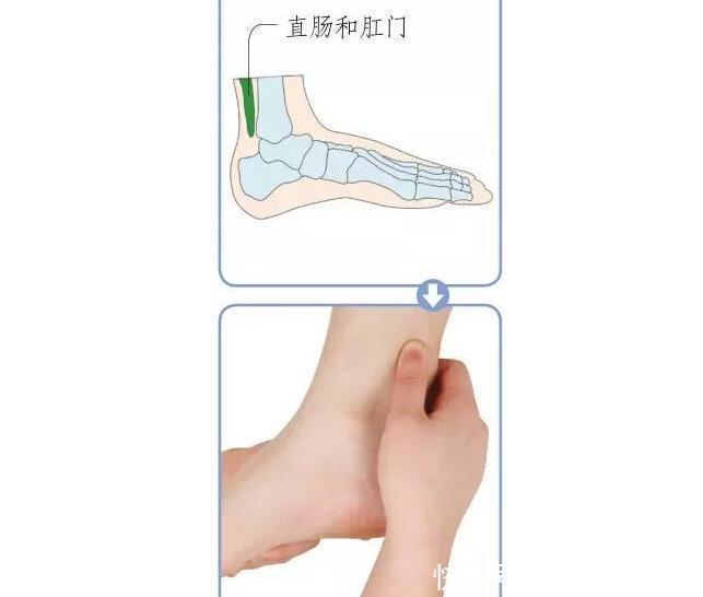 足底|揭秘足底养生密码10个特效反射区,活血通络补五脏,通调全身病