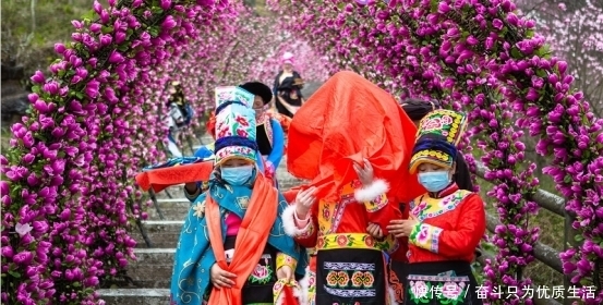 带上你的“李焕英”去九皇山赏辛夷，民俗体验，养生踏青|妇女节| a5263