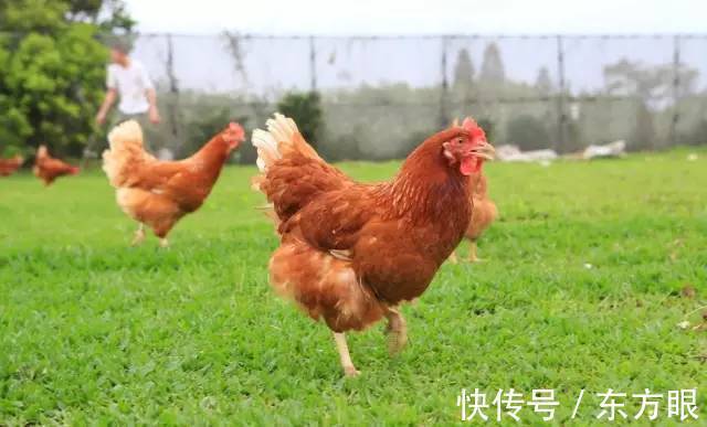 《钓鱼》的结局,惊醒无数人!