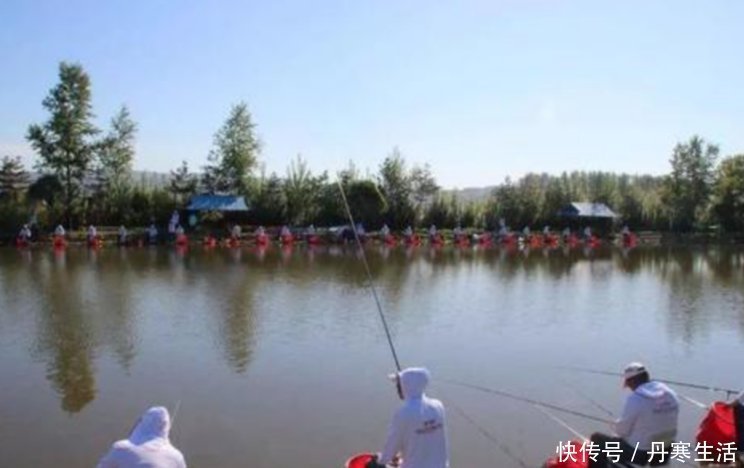 红虫|黑坑鱼突然停口怎么回事?老钓手教你妙招轻松解决