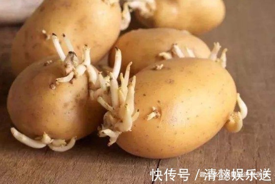 土豆|土豆、大蒜、生姜、花生发芽后,到底能不能吃答案和你想的不同