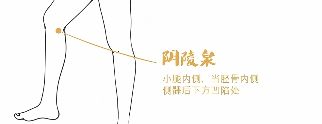 漏谷穴|脾若有病,人废一半!打通这条经络,重病、急病、怪病难上身!