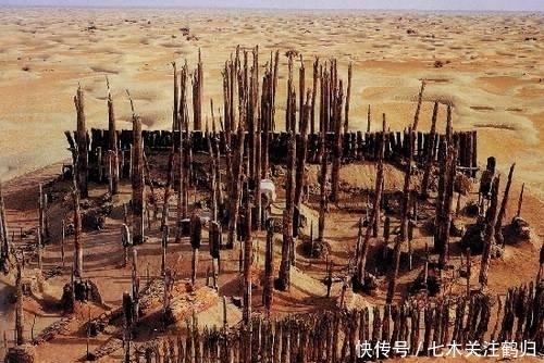 古代吃得到小米的才是贵族 小麦为何只有