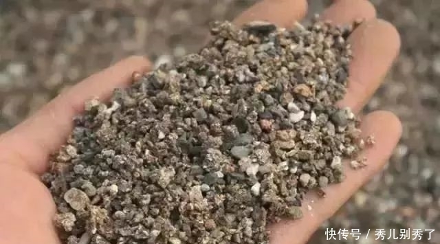 养多肉还在买土，你真的out了！