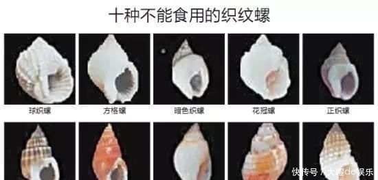 发生|紧急扩散最近千万别碰这东西,一颗致命…