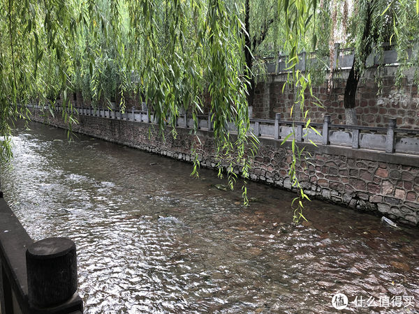 家常|三伏天没胃口,不妨试试这5道家常凉拌菜,清爽不油腻,伏天必备