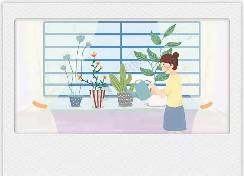 紫罗兰|天热了，有些花不是浇水越多越好，反而一浇水就死