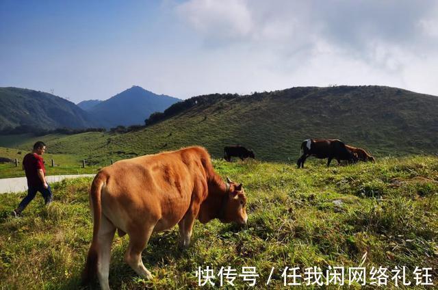 醉夕阳|「七绝·醉夕阳」知秋木叶遍山黄，宠辱偕忘醉夕阳