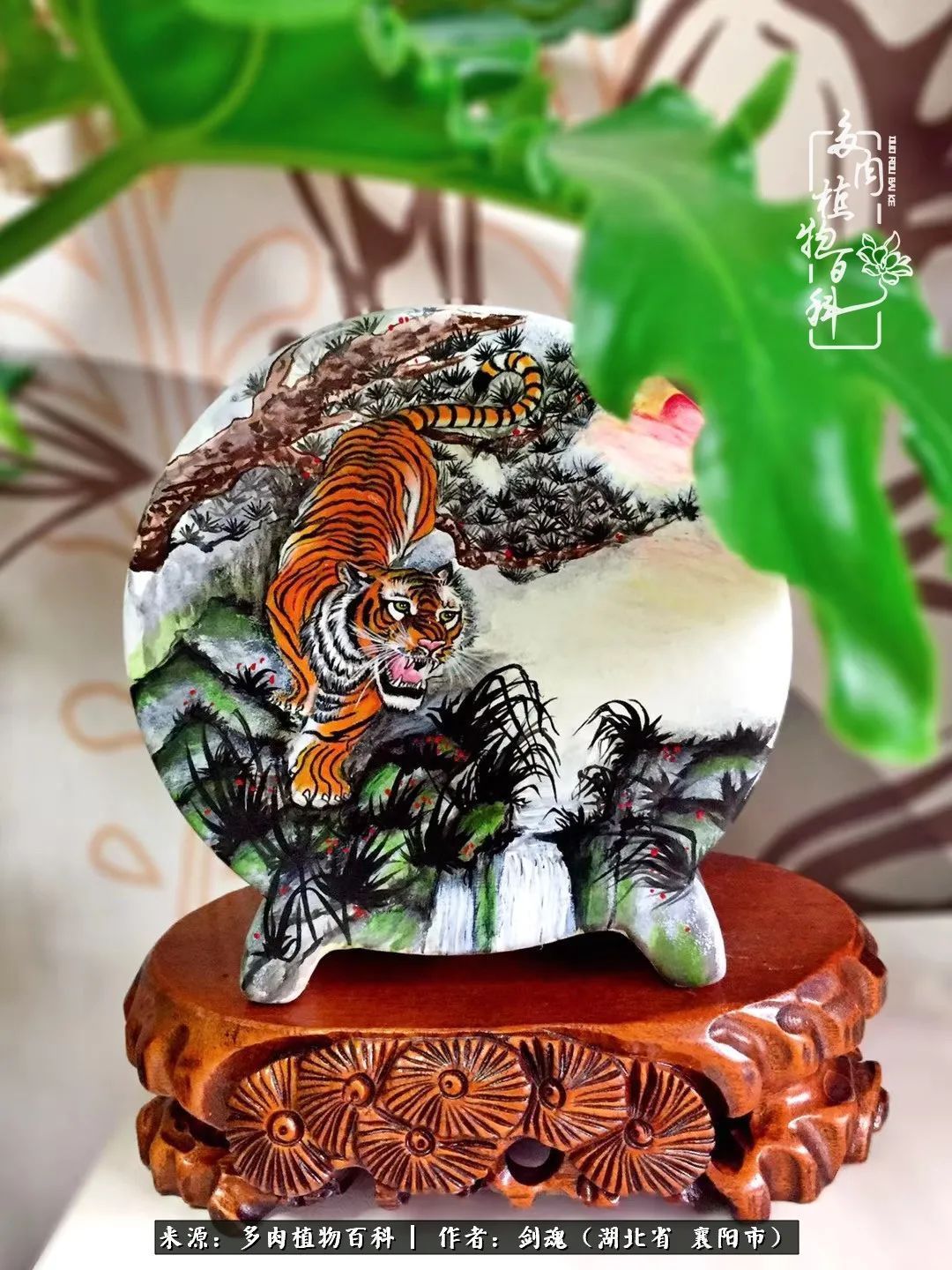 花盆|当美丽的多肉邂逅漂亮的手绘花盆,会是怎样的一种美