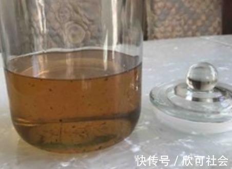 做法|凉菜好吃不用买，分享3样秘制料做法，喜欢吃的朋友赶紧学起来！