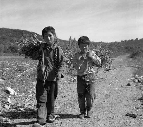 石片|学生意外捡到一块石片,专家花10块买走,如今为何成为一级国宝