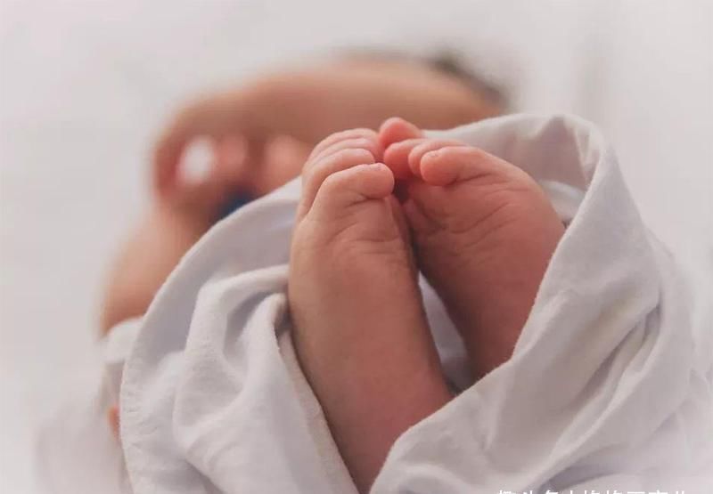 站立|八个月的孩子总是自己扶着东西站起来,会不会变罗圈腿?